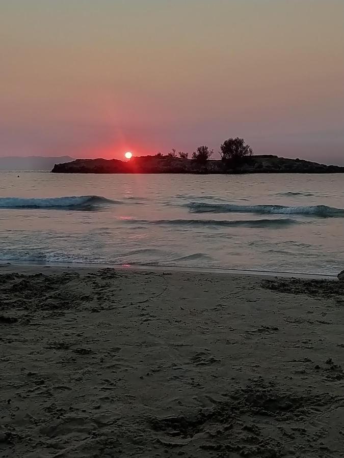 Oneiro Petrokefálion